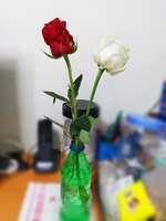 https://images.plurk.com/6UPKBEJjYN25ZSBz4hspqv.jpg