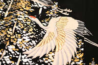 https://images.plurk.com/6UPSJSVA7U0nlZYJxSn3qF.jpg