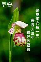 https://images.plurk.com/6UXBxSm2SS2fip4nbCKjga.jpg