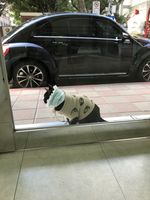https://images.plurk.com/6UXDlvBdKRQ6AOGypYK2pC.jpg