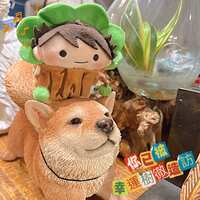 https://images.plurk.com/6UYujuEckhbcKqHrKvgmgz.jpg
