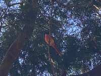 https://images.plurk.com/6UjAs773014CXRdpmGLHxB.jpg