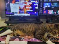 https://images.plurk.com/6UjUU0TC3BafrcLCPhG0P5.jpg