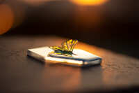 https://images.plurk.com/6UmTm760IIAcfR6LPW8kPr.jpg