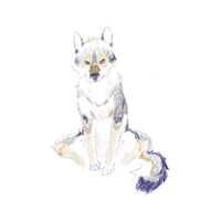https://images.plurk.com/6UoGGHkoakwky6BlZXgZsP.png