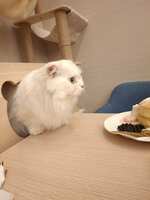https://images.plurk.com/6UpWLtvnNrqSwNxIHA3cnf.jpg