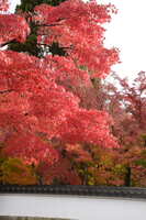 https://images.plurk.com/6UvzIJ8n1EudtqimpZFAcR.jpg