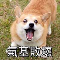 https://images.plurk.com/6V4Ngwxyopgk3A2l9G0KYy.jpg