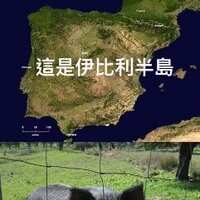 https://images.plurk.com/6V67l6OD5Fz3IEPWWMvF3B.jpg
