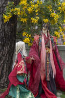 https://images.plurk.com/6V6fZEeCU1JhmBPashgbJD.jpg