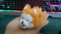 https://images.plurk.com/6VBN23C5bKiHdgP7SImcgW.jpg