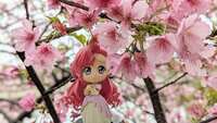 https://images.plurk.com/6VCq8NvJcPQ4heZ7pGmZ1c.jpg