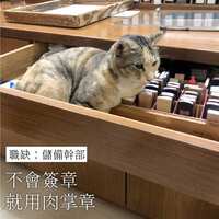 https://images.plurk.com/6VK9ISfCGSiQLX1YGlnhLf.jpg