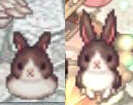 https://images.plurk.com/6VMMdYQTwXylWVEllxeB2.jpg