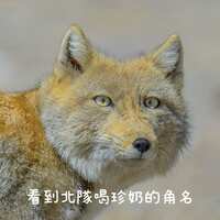 https://images.plurk.com/6VT8S7ZJH8Saod1puV9LV7.jpg