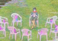 https://images.plurk.com/6VTN29fSxZOUjBMmRrPQn.png