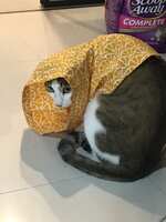 https://images.plurk.com/6VTeki6QlFvlyV4J2e3HKn.jpg