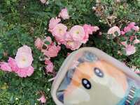 https://images.plurk.com/6VciQ1Jv1EqkZAmFtkZNun.jpg