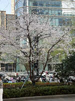 https://images.plurk.com/6VjufnqHP83DdOSRuXoJ5g.jpg