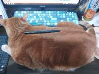 https://images.plurk.com/6VpeVQaxNdFfLpGynLOkV3.jpg