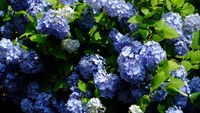 https://images.plurk.com/6VvD6ikQpRFEk4VpvKCb.jpg
