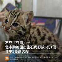 https://images.plurk.com/6W1CKmqCNPemHyshmn8ufI.jpg