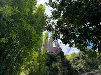 https://images.plurk.com/6W1hpK0w4Nm0vCMKXkMxiq.jpg