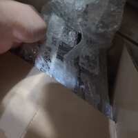 https://images.plurk.com/6W377CIhxmgLRZ5ghf5DIz.jpg