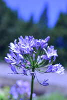 https://images.plurk.com/6W4fiqKXHmbpwIlVLwWgrt.jpg