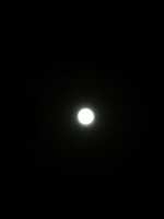 https://images.plurk.com/6W6WxqmOWq5lXXspYUGVR7.jpg
