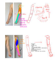 https://images.plurk.com/6W9KqwgZvhz79NoPnciDkQ.jpg
