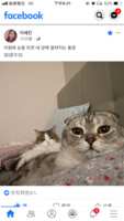 https://images.plurk.com/6WLGQZOTdLNQtF9TTAJ4iy.png