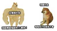 https://images.plurk.com/6WOsNvV4TGwuncqVCaALKr.png