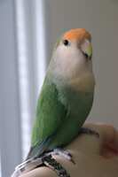 https://images.plurk.com/6WZrqILDZJPZqSHFrF9hI5.jpg