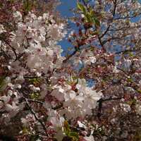 https://images.plurk.com/6WbHBV455I3P98Kysp9hgc.jpg