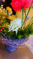 https://images.plurk.com/6WcUcNkoZl43r8S84bv5y3.jpg
