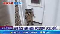 https://images.plurk.com/6Wd8zHz4FrOTNjKxeSPqKl.jpg