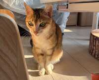 https://images.plurk.com/6WlIQCMlKhhL8hiqXdLu46.jpg