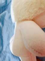 https://images.plurk.com/6WlLIixJ4apAyD0NrNwF0W.jpg