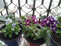https://images.plurk.com/6WlwM26W1ZClJl6f0Kg4QZ.jpg