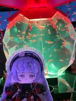 https://images.plurk.com/6WnHUsc4bPTVihRd1mpbFR.jpg