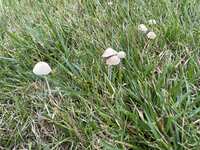 https://images.plurk.com/6WoO2cV3OMdXmlIudc8Hwz.jpg