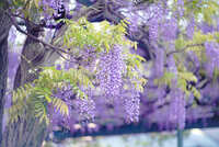 https://images.plurk.com/6WrQRThxcs47GcNAViVFUi.jpg