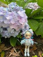 https://images.plurk.com/6WwwNYVXvumJ4g44tvPLsi.jpg