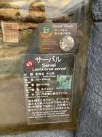 https://images.plurk.com/6WyycApgynuPm0U1igoyMe.jpg