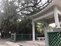 https://images.plurk.com/6X1gZPaeSZGpVYEHogaYrg.jpg