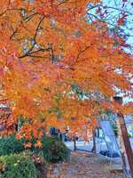 https://images.plurk.com/6X8YWtGY5imldtV7ygYwQ4.jpg