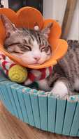 https://images.plurk.com/6XBWM1mvXBYl16o6MAJCC4.jpg