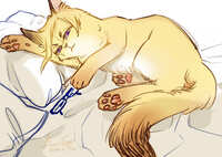 https://images.plurk.com/6XHJXXs4rjVnS1c6Pcwfma.jpg