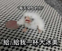 https://images.plurk.com/6XJiaHq8M8yx8nGg1pyW8f.jpg